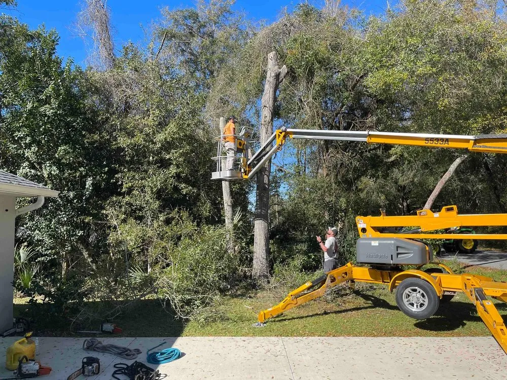 Top-rated garden landscaping for outdoor upgrades in Ocala, FL by Professional Maintenance Services