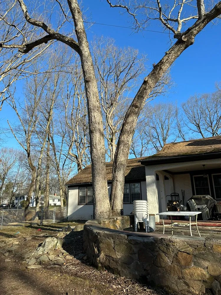 Affordable yard cleanup service with custom design in West Haven, CT by Professional Master Landscaping