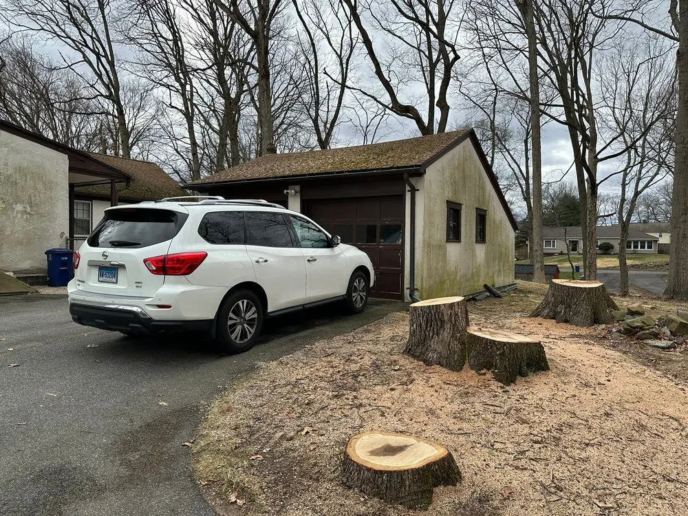 Reliable landscape installation in West Haven, CT - Professional Master Landscaping