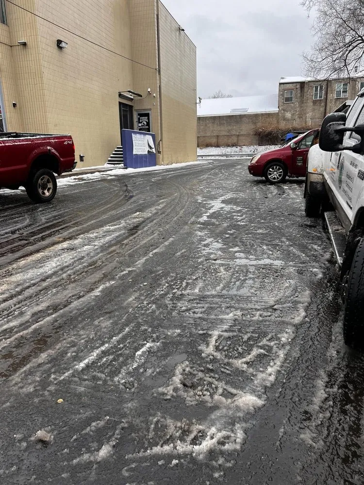 Professional lawn care service in West Haven, CT - Professional Master Landscaping