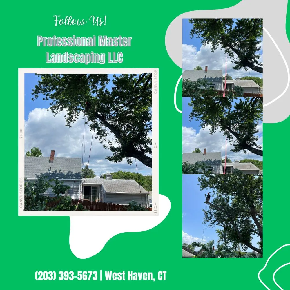 Local landscape installation for homes across West Haven, CT - Professional Master Landscaping