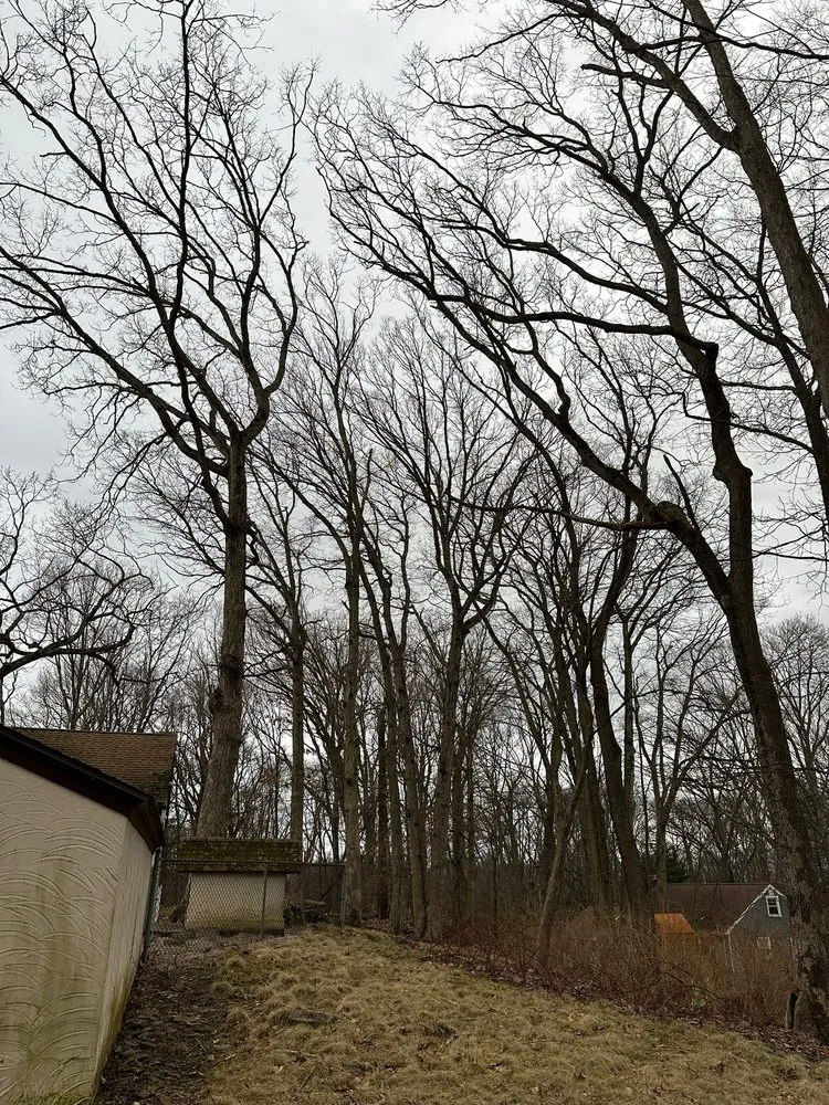 Reliable yard maintenance near you in West Haven, CT by Professional Master Landscaping