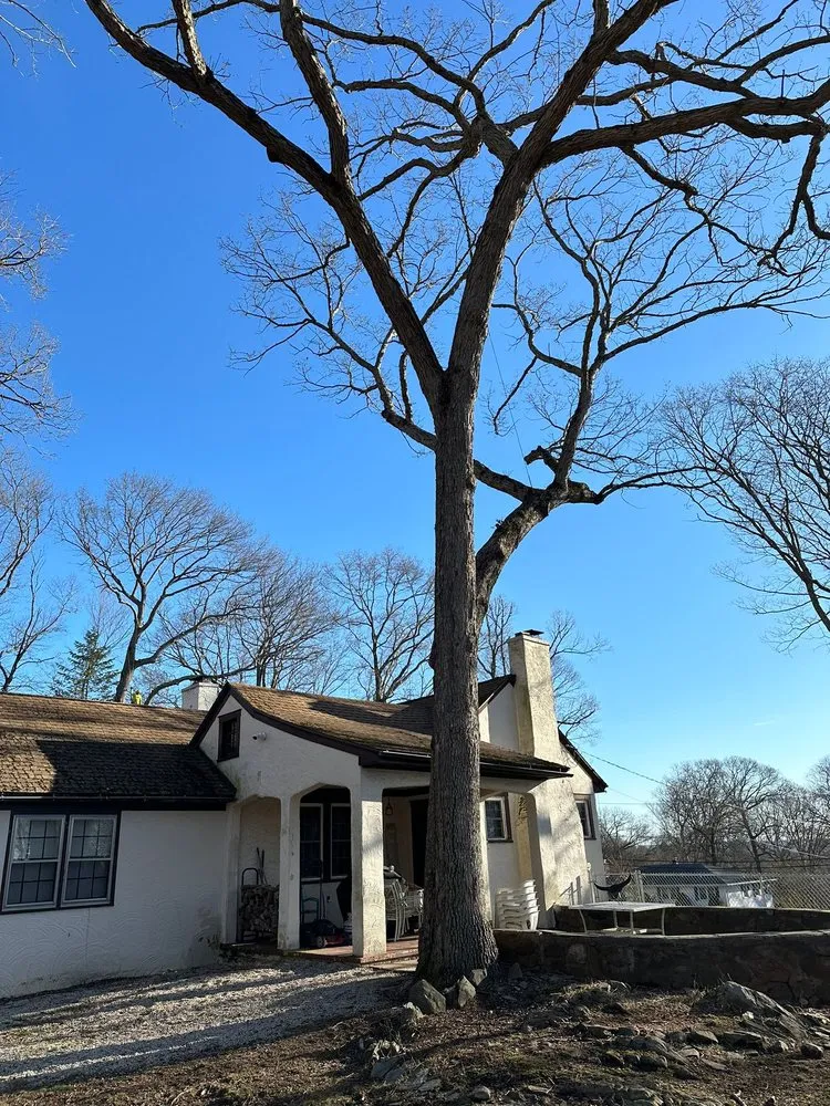 Local yard cleanup service experts serving West Haven, CT - Professional Master Landscaping