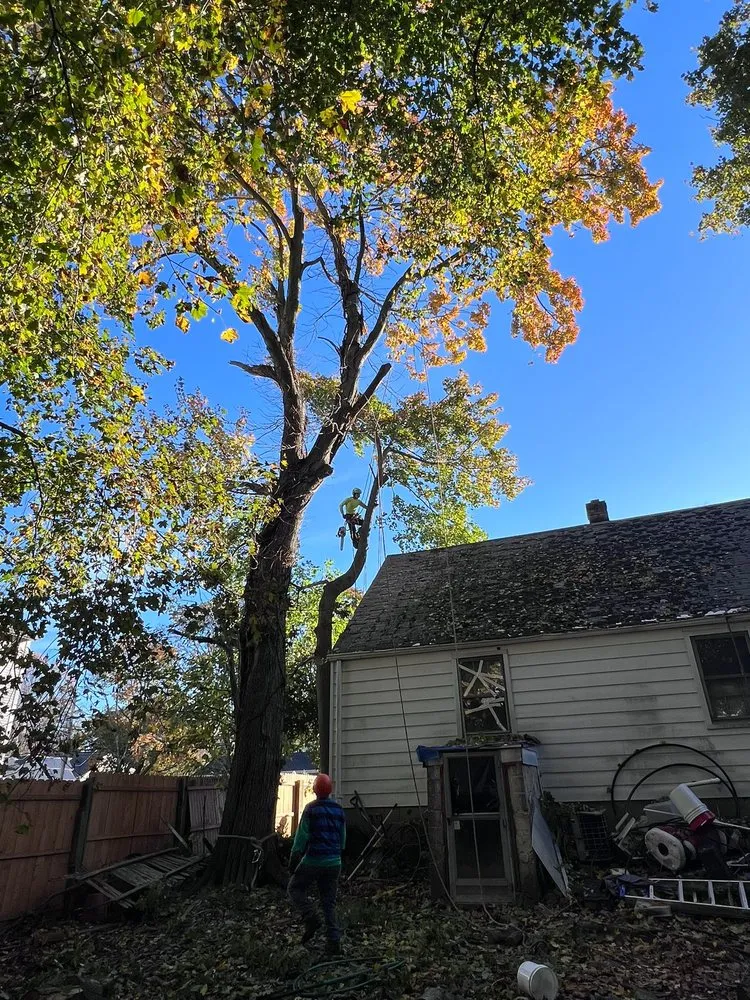 Affordable yard maintenance with custom design across West Haven, CT - Professional Master Landscaping