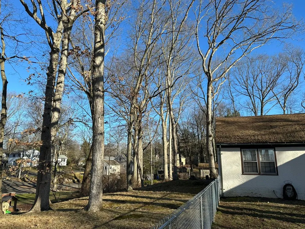 Professional landscape installation near you in West Haven, CT by Professional Master Landscaping