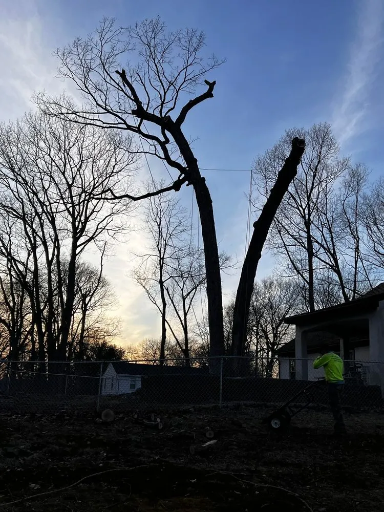 Top-rated yard maintenance experts serving West Haven, CT - Professional Master Landscaping