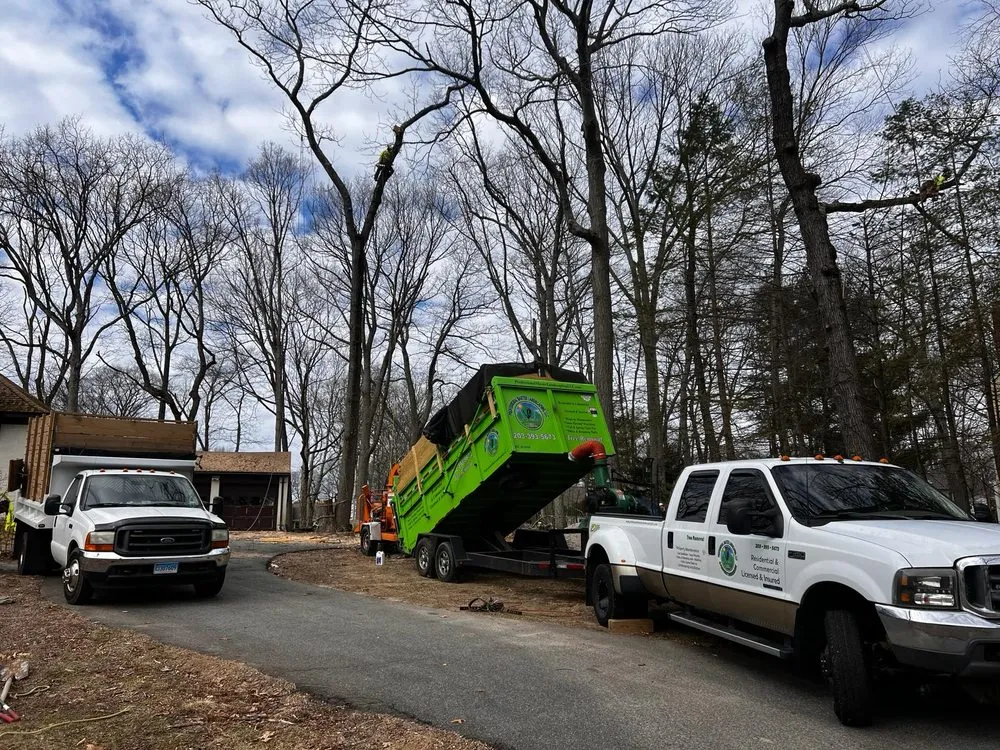 Local lawn care service experts serving West Haven, CT - Professional Master Landscaping