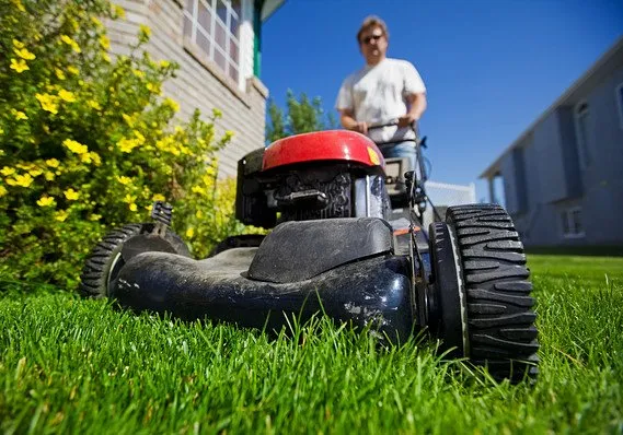 Local landscape design in Bowling Green, KY - Professional Mowing Service