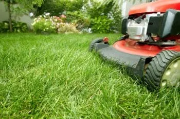 Top-rated residential landscaping experts serving Bowling Green, KY - Professional Mowing Service