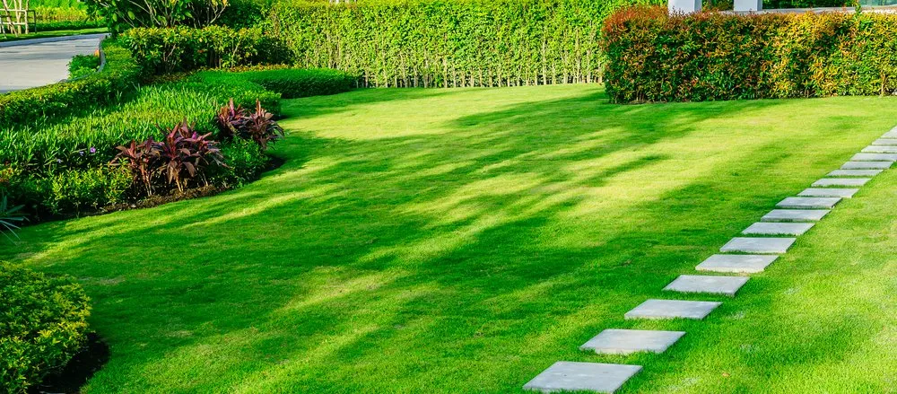 Professional landscaping services for outdoor upgrades across Bowling Green, KY - Professional Mowing Service