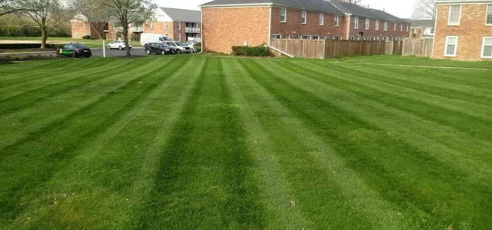 Trusted lawn mowing service in Findlay, OH by Professional Pavement Services