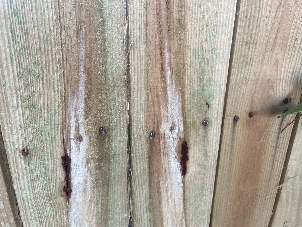 Trusted yard cleanup service in Houston, TX - Professional Pavers