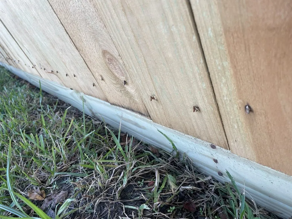 Reliable lawn mowing service experts serving Houston, TX - Professional Pavers