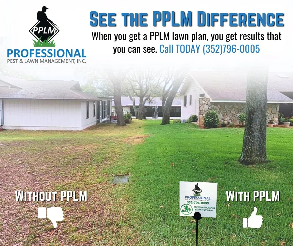 Trusted yard cleanup service experts serving Spring Hill, FL - Professional Pest & Lawn Management