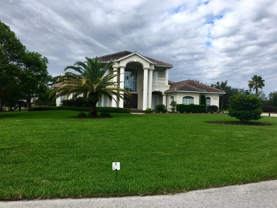 Local yard maintenance experts serving Spring Hill, FL - Professional Pest & Lawn Management