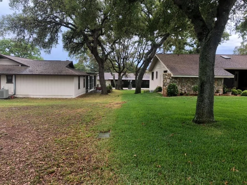 Affordable yard cleanup service for outdoor upgrades in Spring Hill, FL by Professional Pest & Lawn Management