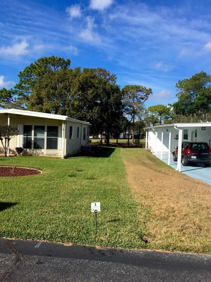 Custom yard cleanup service in Spring Hill, FL by Professional Pest & Lawn Management