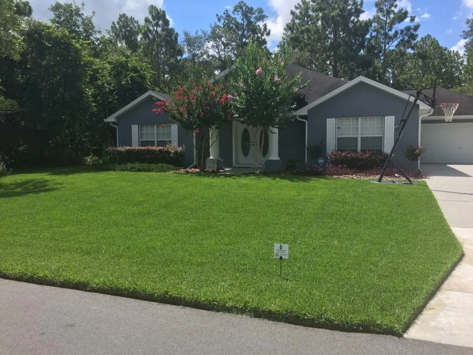 Affordable yard cleanup service in Spring Hill, FL - Professional Pest & Lawn Management