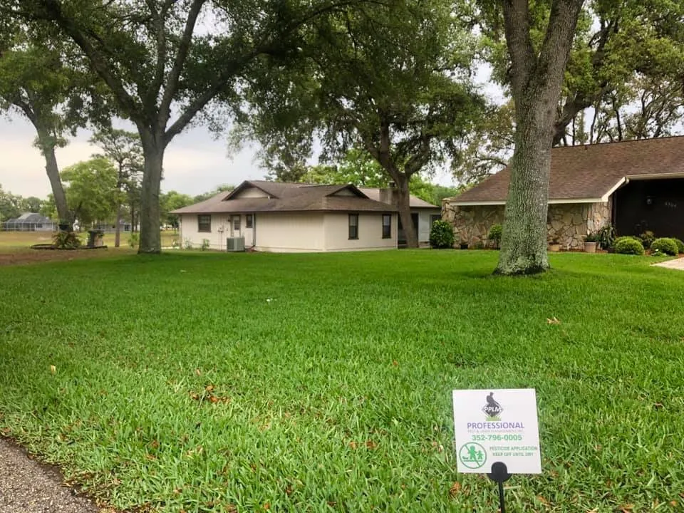 Top-rated outdoor landscaping for homes across Spring Hill, FL - Professional Pest & Lawn Management