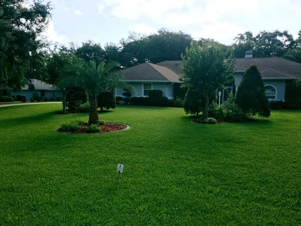 Reliable landscaping services near you across Spring Hill, FL - Professional Pest & Lawn Management
