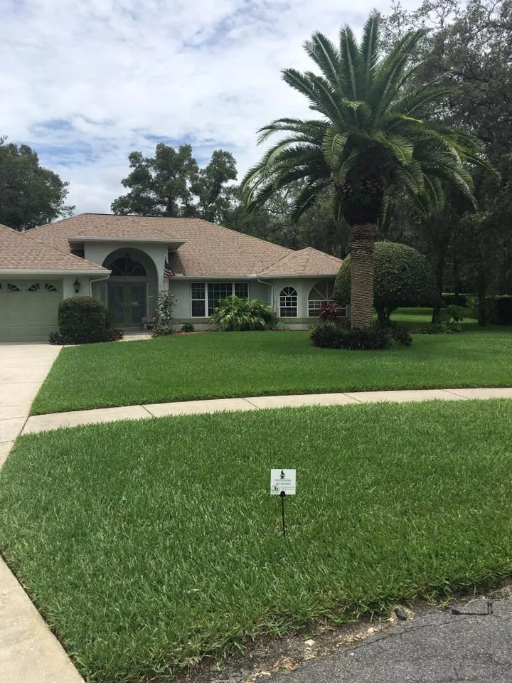 Custom garden landscaping experts serving Spring Hill, FL - Professional Pest & Lawn Management