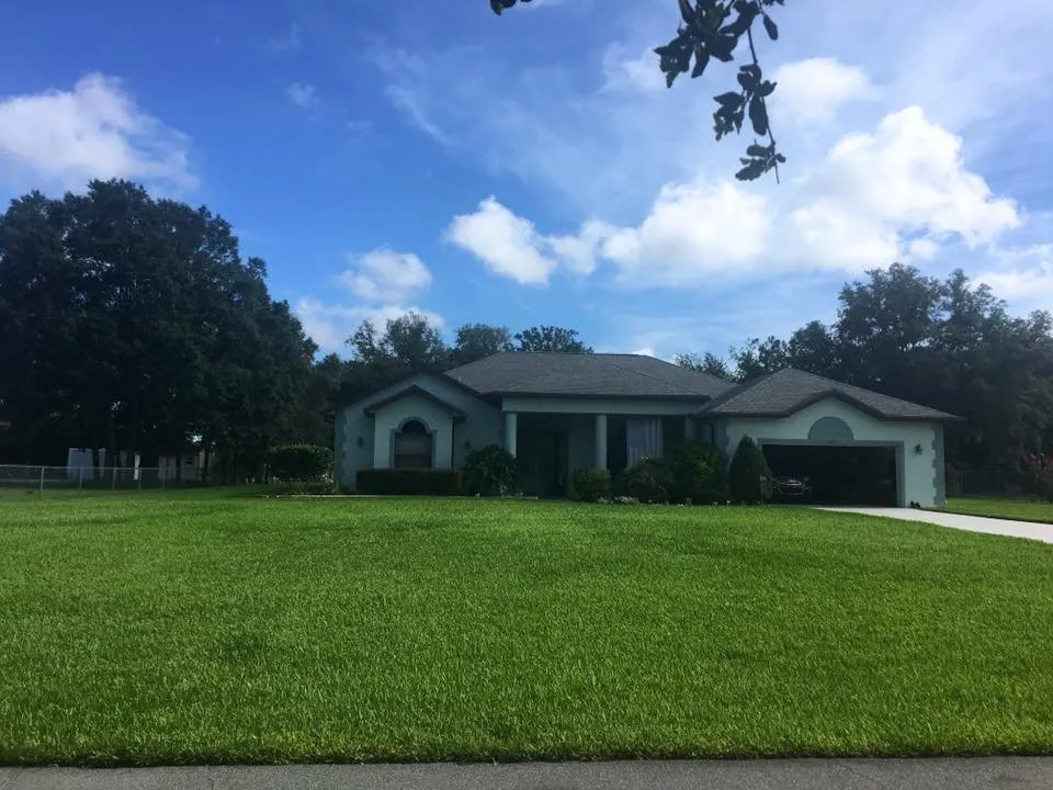 Professional yard cleanup service near you in Spring Hill, FL by Professional Pest & Lawn Management