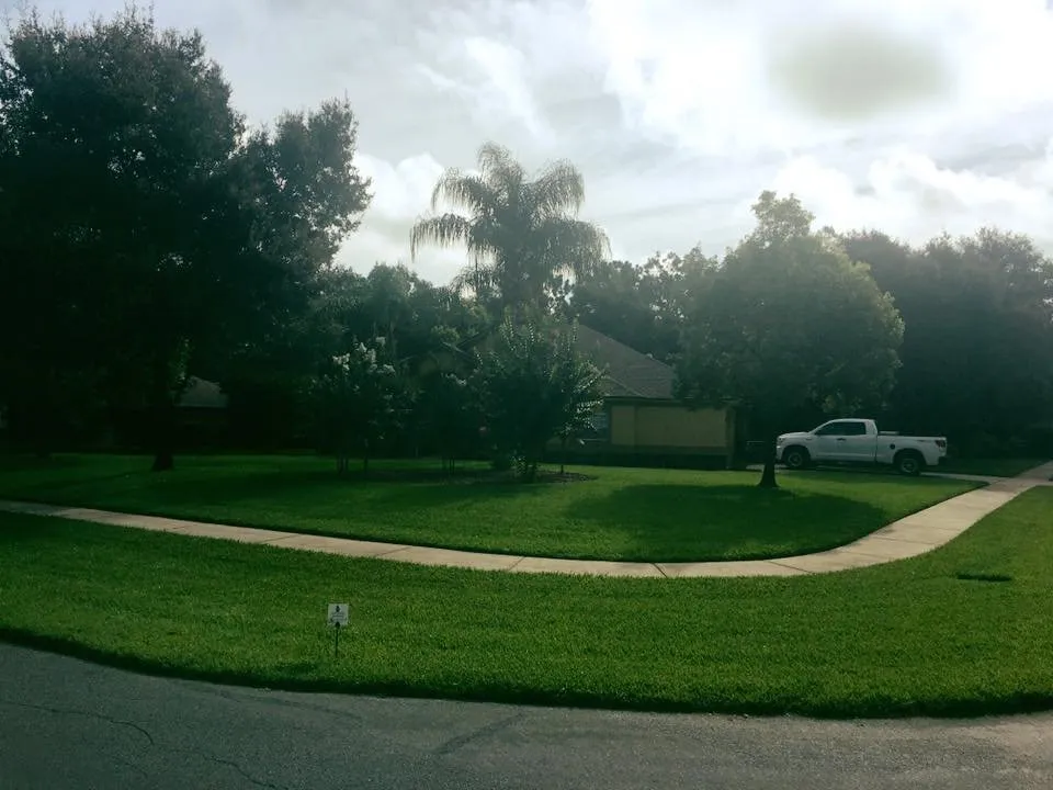 Reliable residential landscaping experts serving Spring Hill, FL - Professional Pest & Lawn Management