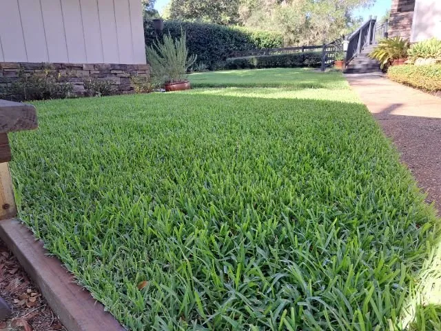 Trusted residential landscaping for beautiful yards across Spring Hill, FL - Professional Pest & Lawn Management