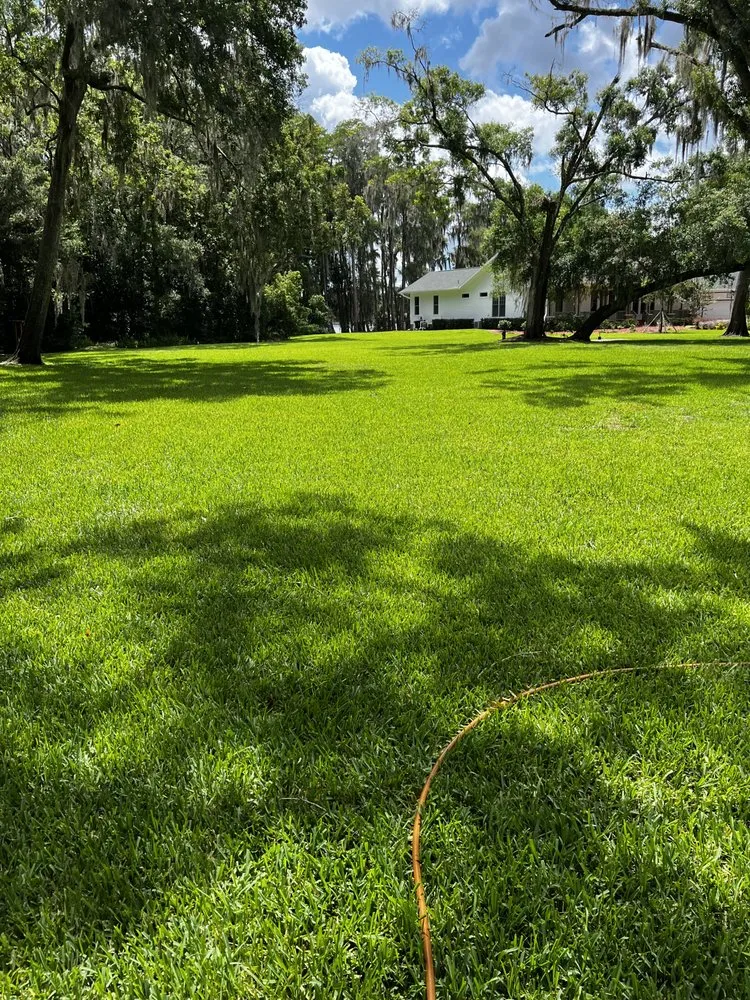 Local lawn care service with custom design in Spring Hill, FL by Professional Pest & Lawn Management