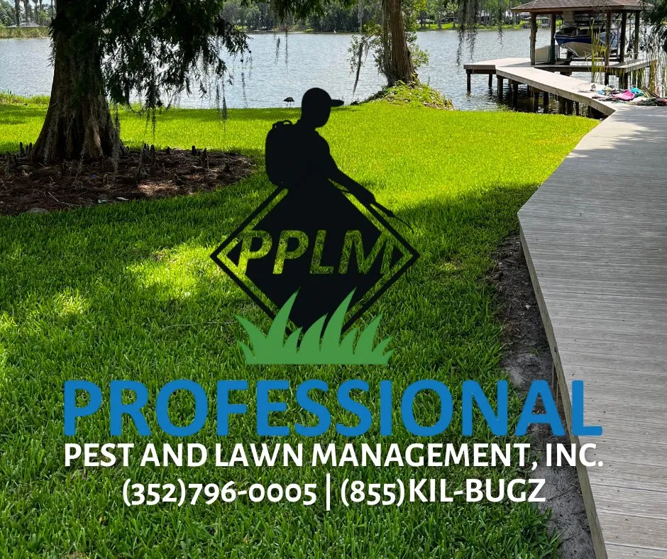 Trusted lawn mowing service in Spring Hill, FL by Professional Pest & Lawn Management