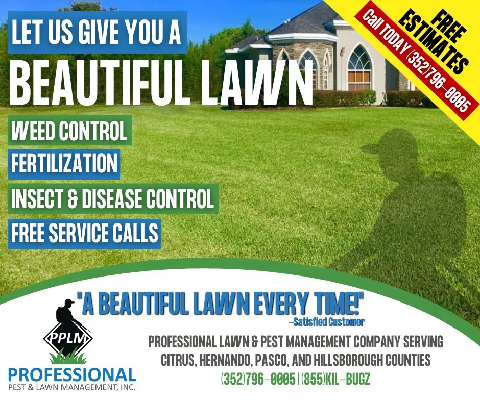 Custom landscape installation with custom design across Spring Hill, FL - Professional Pest & Lawn Management