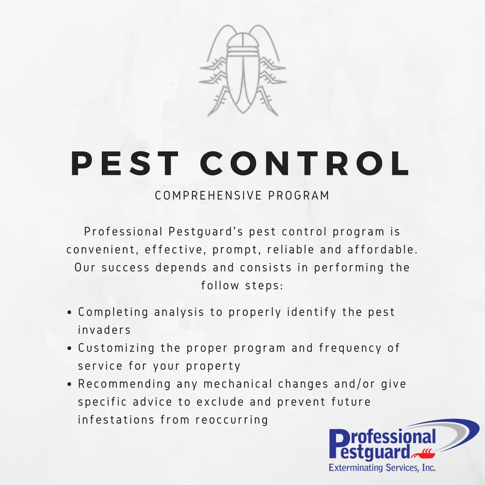 Expert yard cleanup service experts serving Weston, FL - Professional Pestguard Exterminating Services