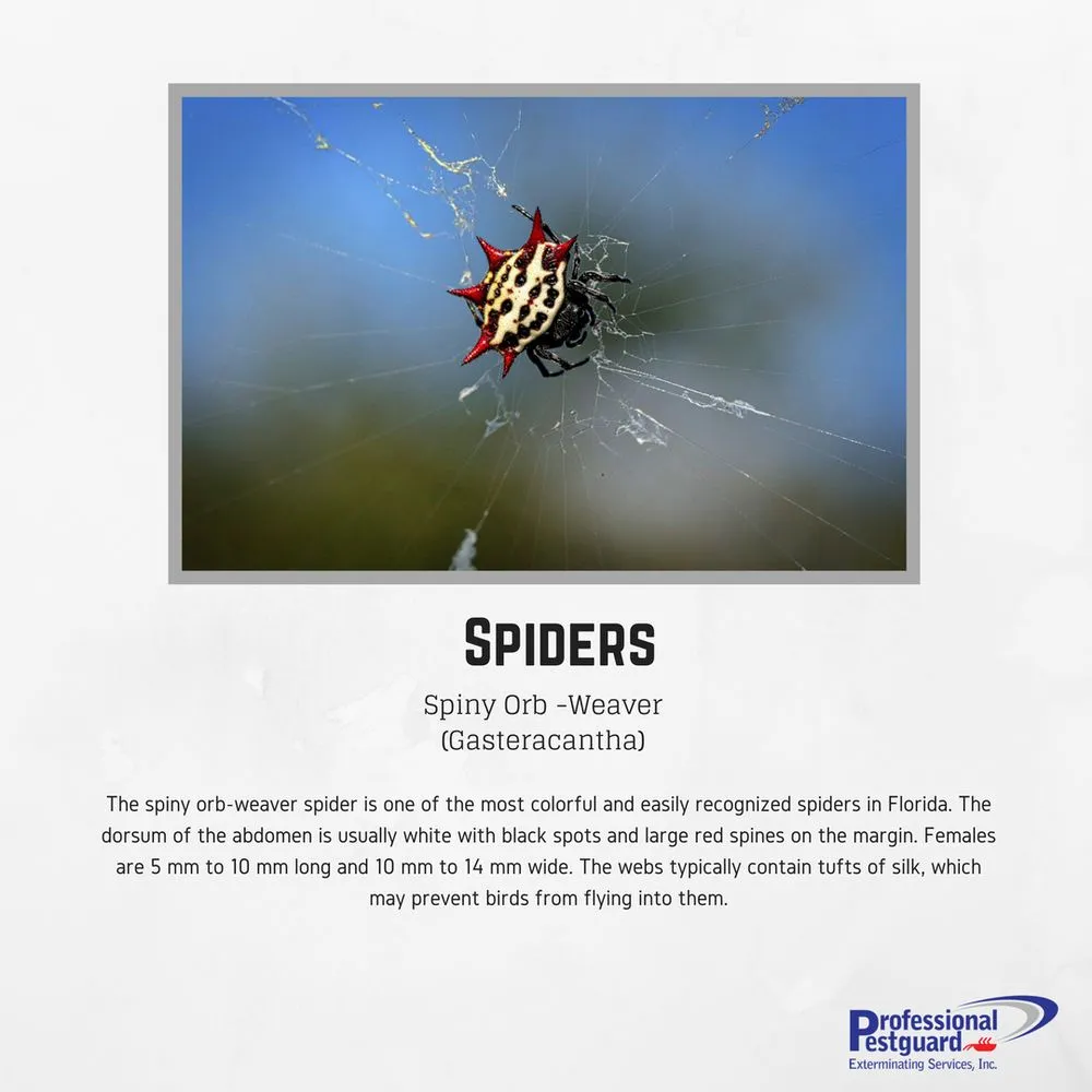 Trusted landscaping services in Weston, FL by Professional Pestguard Exterminating Services