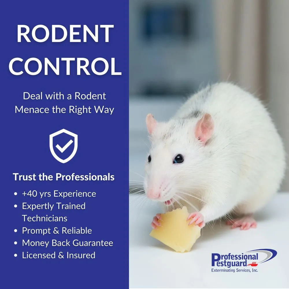 Trusted landscape design experts serving Weston, FL - Professional Pestguard Exterminating Services