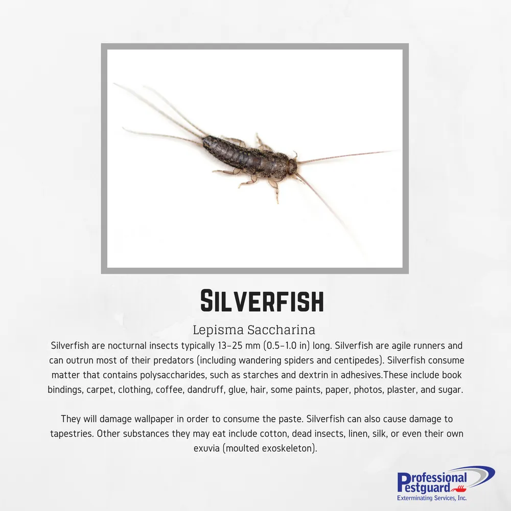 Affordable lawn care service for year-round maintenance across Weston, FL - Professional Pestguard Exterminating Services