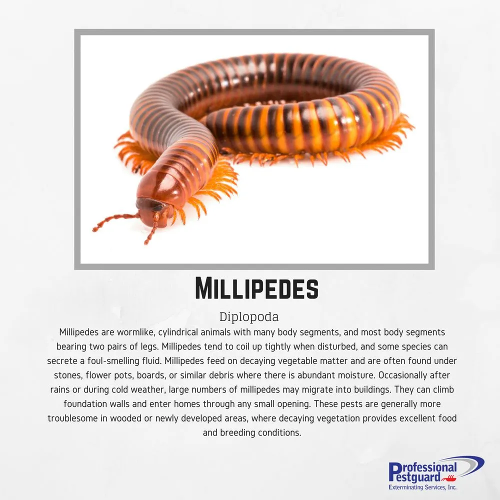 Reliable garden landscaping in Weston, FL - Professional Pestguard Exterminating Services