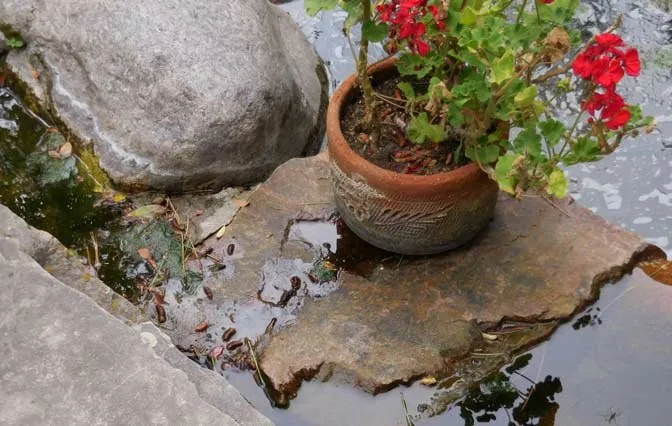 Top-rated landscape design in Parker, CO by Professional Ponds