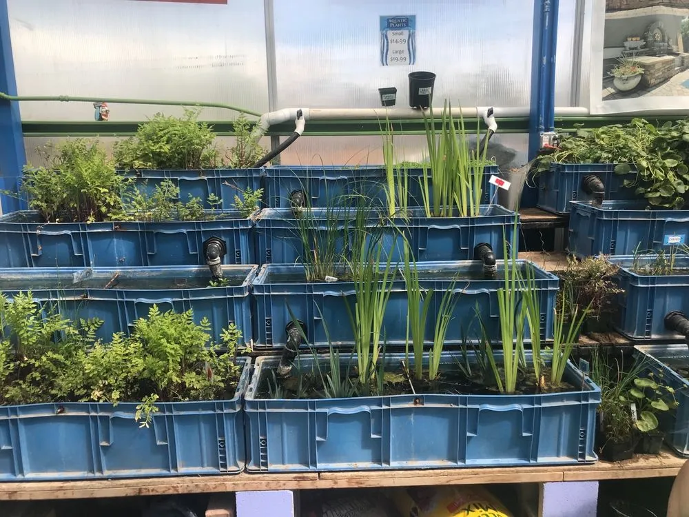 Professional outdoor landscaping in Parker, CO - Professional Ponds