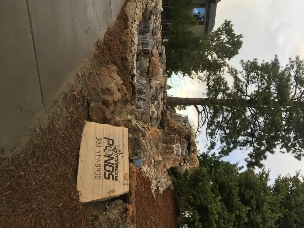 Custom yard maintenance in Parker, CO - Professional Ponds