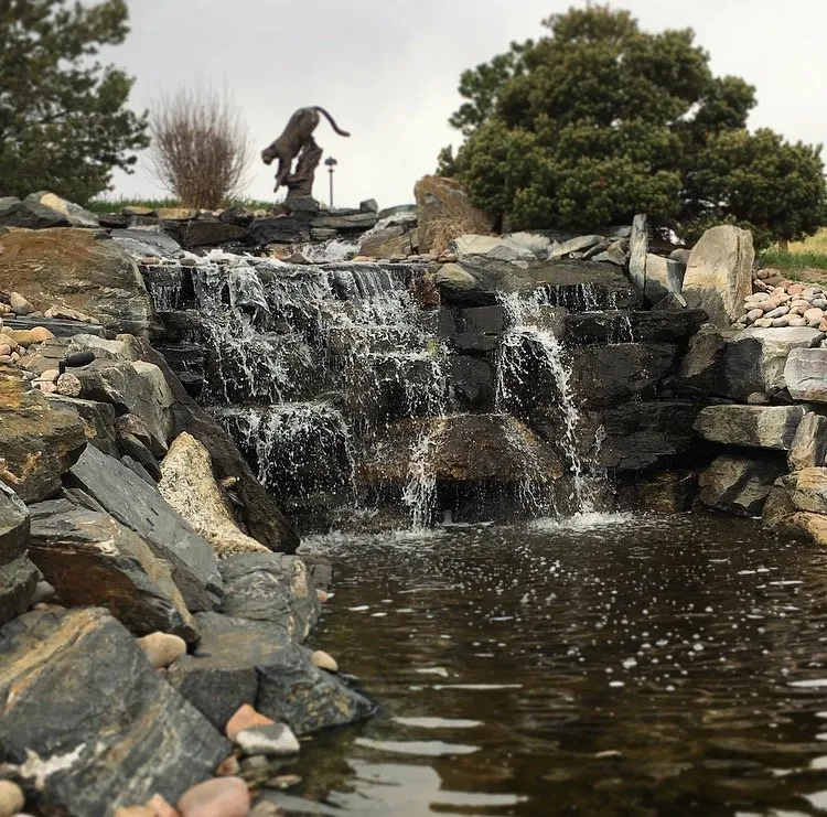 Reliable yard maintenance near you in Parker, CO by Professional Ponds