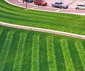 Trusted yard maintenance for residential properties in New Carlisle, OH by Professional Property Maintenance