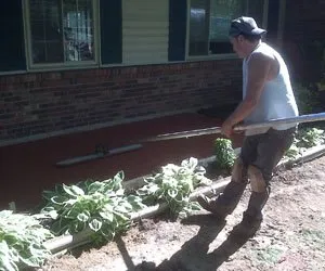 Trusted yard cleanup service experts serving New Carlisle, OH - Professional Property Maintenance