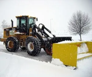Local lawn care service experts serving New Carlisle, OH - Professional Property Maintenance
