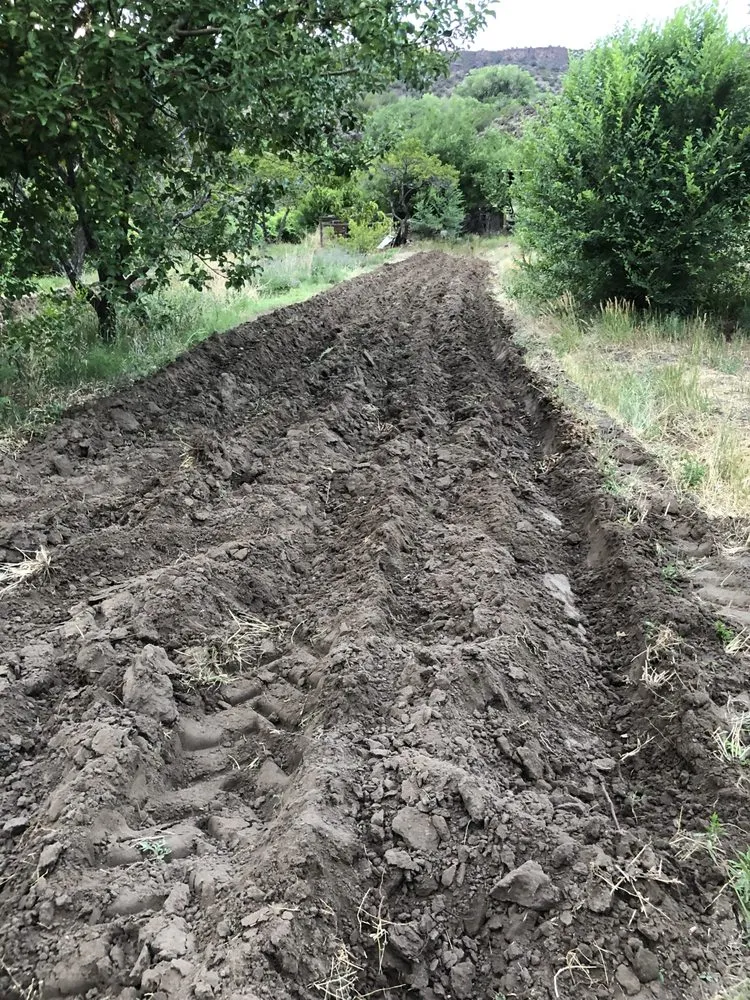 Expert yard maintenance experts serving Albuquerque, NM - Professional Residential Landscaping