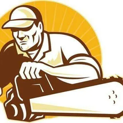 Trusted lawn care service in Florence, KY - Professional services nky