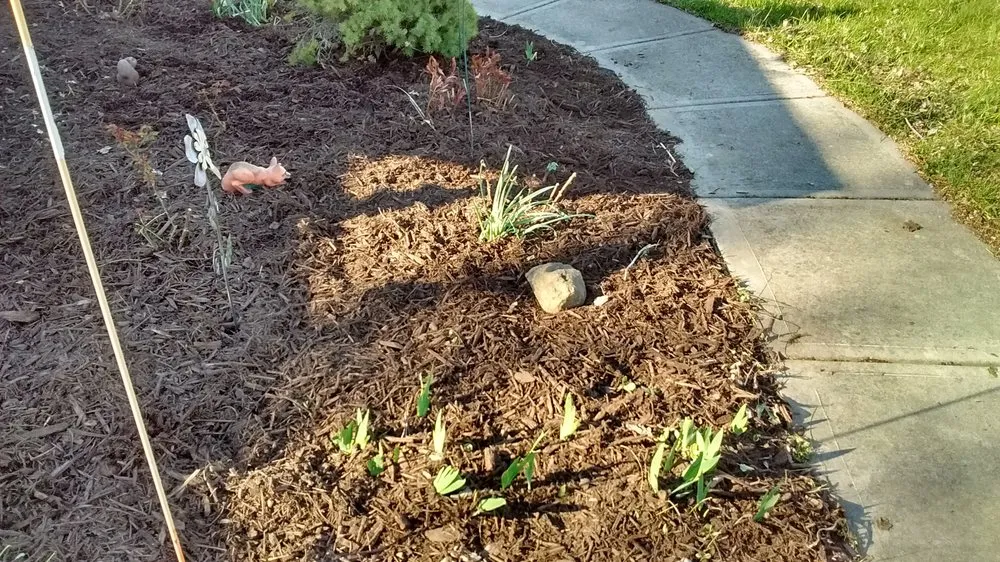 Top-rated landscape design in Florence, KY - Professional services nky