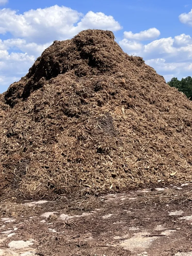 Trusted lawn care service in Louisburg, NC by Professional Stone and Masonry