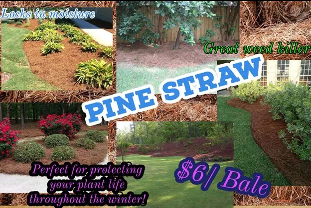 Trusted outdoor landscaping for outdoor upgrades across Louisburg, NC - Professional Stone and Masonry