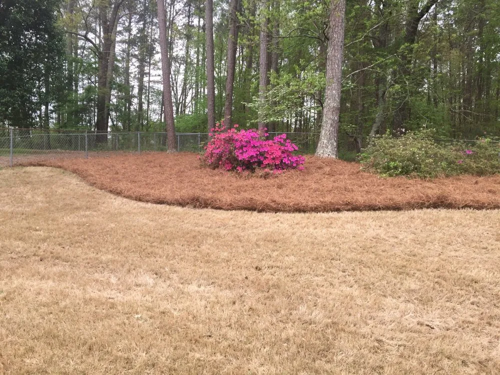 Professional garden landscaping for year-round maintenance across Loganville, GA - Professional Strawing Services