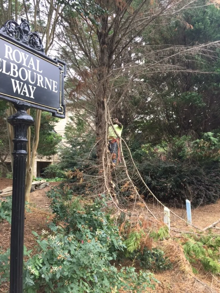 Local garden landscaping for year-round maintenance in Loganville, GA by Professional Strawing Services